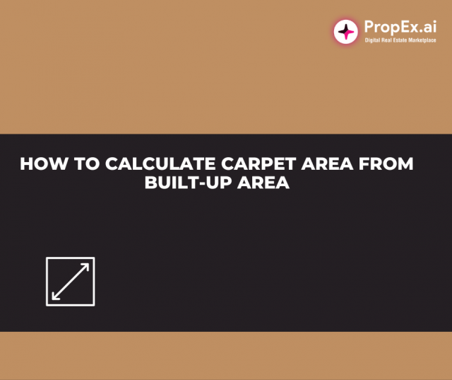 Carpet area v/s built up area