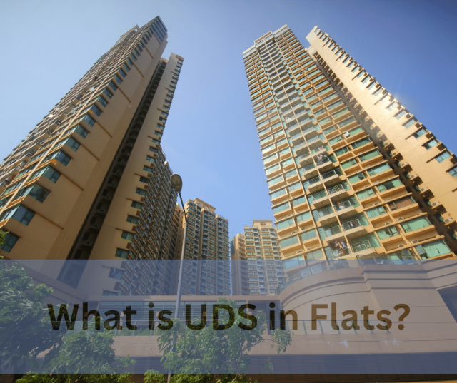 What is UDS in Flats